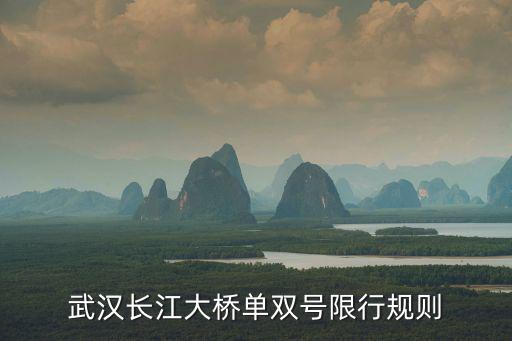 武漢長江大橋限行，武漢漢江一橋和武漢長江大橋限號