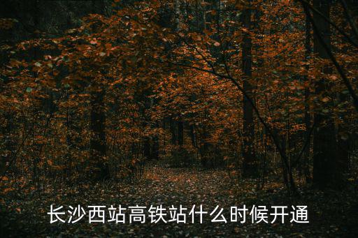 長沙西站高鐵站什么時候開通