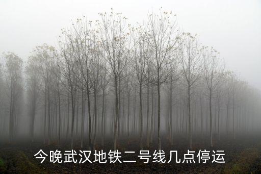 今晚武漢地鐵二號線幾點停運