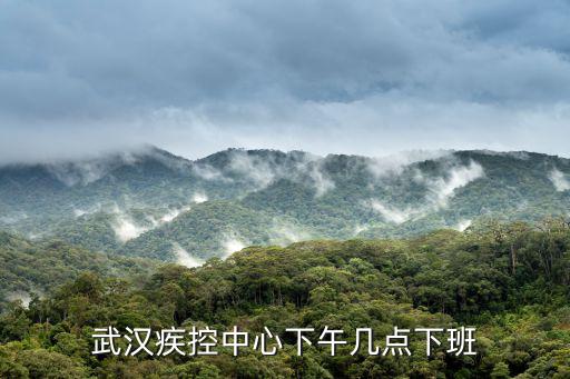 武漢疾控中心下午幾點下班
