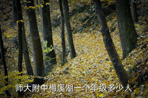 師大附中梅溪湖一個(gè)年級(jí)多少人