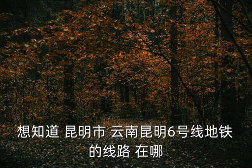 6號地鐵，想知道 昆明市 云南昆明6號線地鐵的線路 在哪