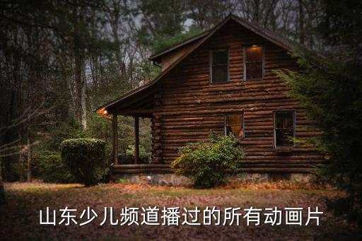 山東少兒頻道，看過一個大概是在山東少兒頻道是哪個播出過的里面有個魔女在