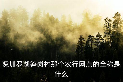 深圳羅湖筍崗村那個(gè)農(nóng)行網(wǎng)點(diǎn)的全稱是什么
