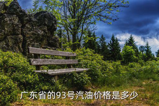 廣東省的93號汽油價格是多少