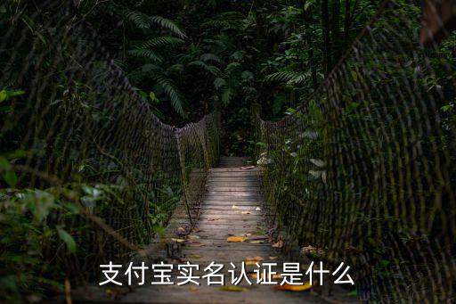 實名認證支付寶，支付寶實名認證