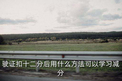駛證扣十二分后用什么方法可以學習減分