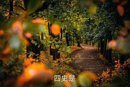 四史大課，大姐姐你好我想問中國的4大史書是什么