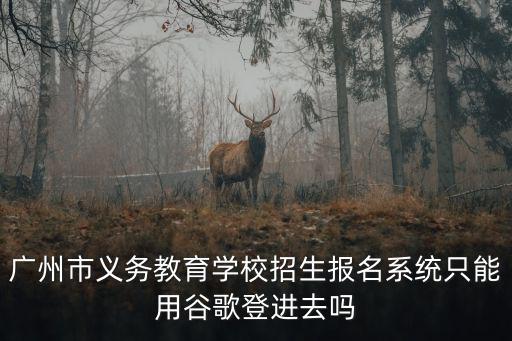 廣州市義務教育學校招生報名系統只能用谷歌登進去嗎