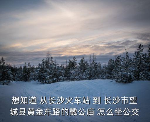 戴公廟，從長沙望城戴公廟到西站坐幾路公交車查詢結果