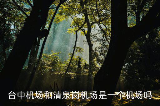 臺中機場，臺中機場和清泉崗機場是一個機場嗎