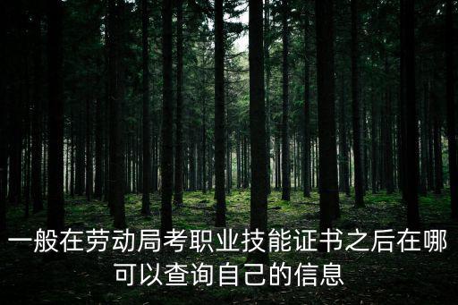 一般在勞動局考職業技能證書之后在哪可以查詢自己的信息