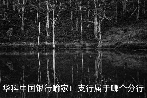 喻家山，中國地質大學東區喻家山莊4棟2004是武昌區還是洪山區