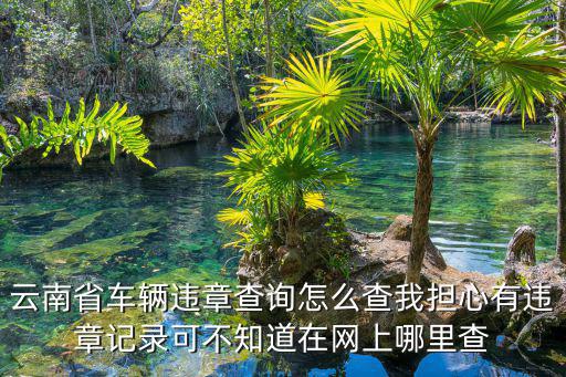 查違章，云南省車輛違章查詢怎么查我擔心有違章記錄可不知道在網上哪里查