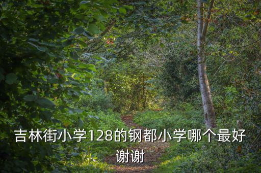 吉林街小學128的鋼都小學哪個最好謝謝