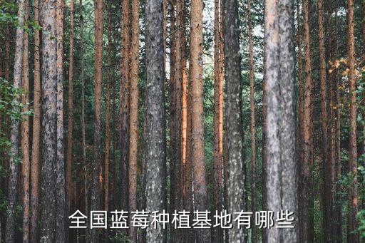 全國藍莓種植基地有哪些