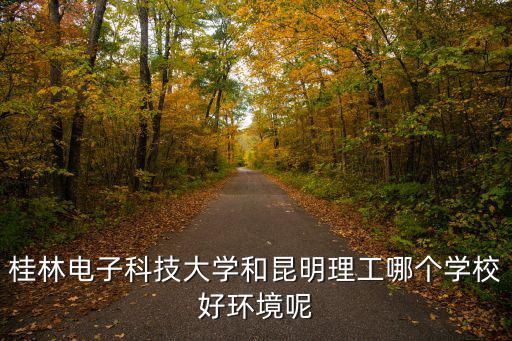 桂林電子科技大學和昆明理工哪個學校好環境呢