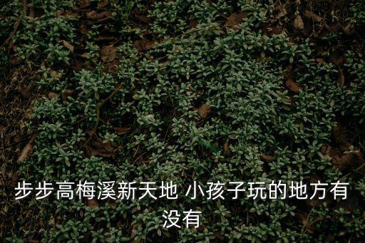 步步高梅溪新天地 小孩子玩的地方有沒有