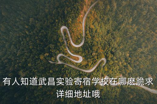 有人知道武昌實驗寄宿學校在哪麼跪求詳細地址哦