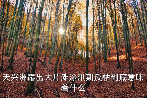 天興洲露出大片灘涂汛期反枯到底意味著什么