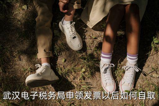 武漢電子稅務局申領發票以后如何自取