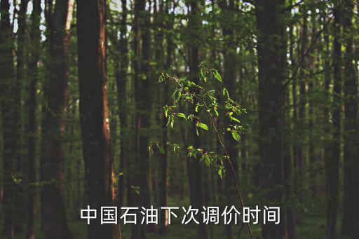 中國石油下次調價時間