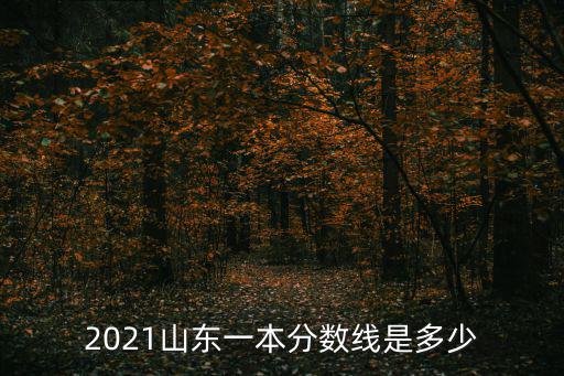 2021山東一本分數線是多少
