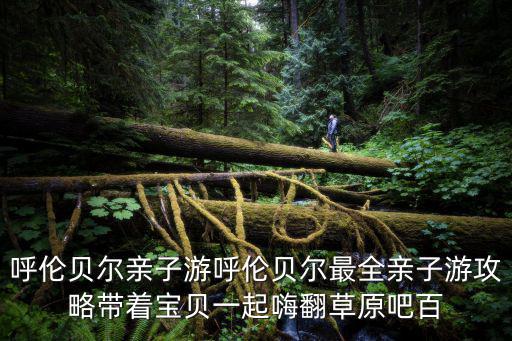 親子游攻略，暑假打算帶娃去三亞最全三亞親子游攻略有哪些呢