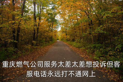 重慶燃?xì)夤痉?wù)太差太差想投訴但客服電話永遠(yuǎn)打不通網(wǎng)上