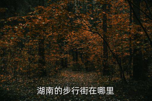 湖南的步行街在哪里