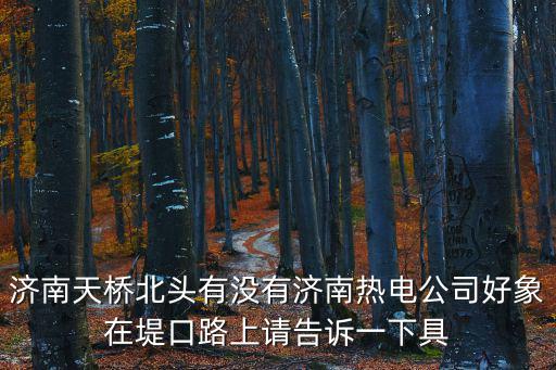 濟(jì)南熱力集團(tuán)，濟(jì)南熱力公司是壟斷行業(yè)嗎
