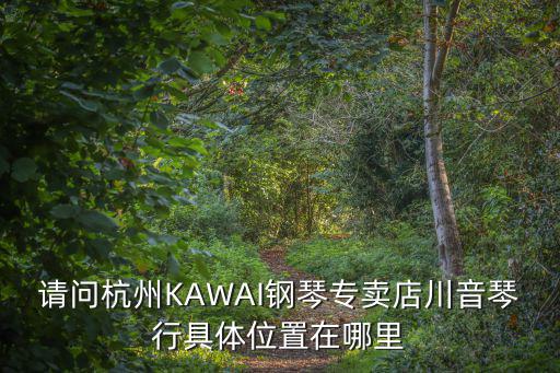 請問杭州KAWAI鋼琴專賣店川音琴行具體位置在哪里