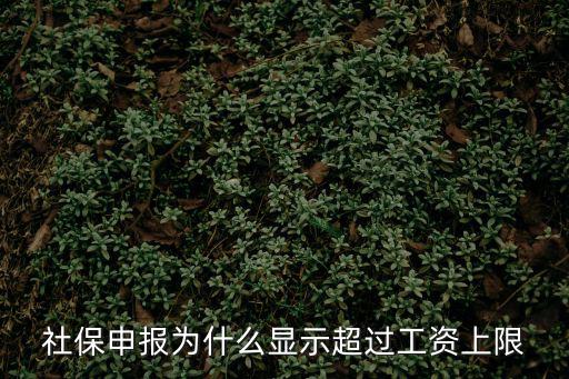 社保上限，上社保基數 有上限 限制嗎