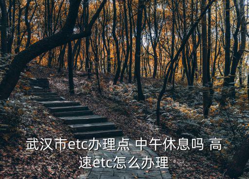 武漢市etc辦理點 中午休息嗎 高速etc怎么辦理