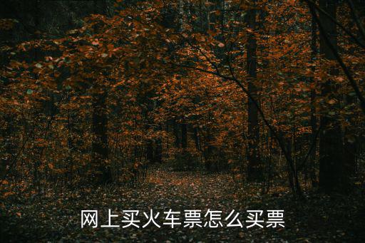 網上買火車票怎么買票