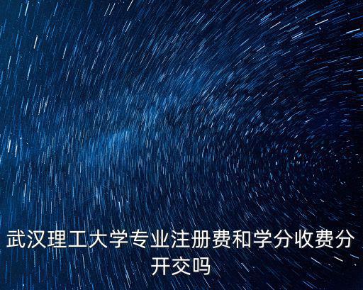 武漢理工大學繳費，武漢理工大學專業注冊費和學分收費分開交嗎