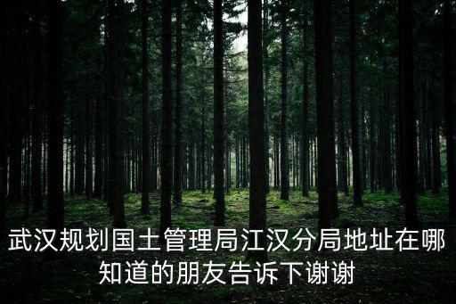 武漢規劃國土管理局江漢分局地址在哪知道的朋友告訴下謝謝