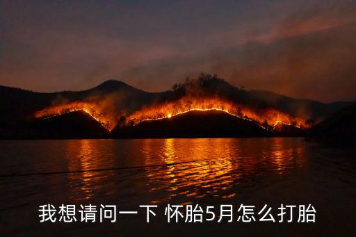我想請(qǐng)問(wèn)一下 懷胎5月怎么打胎