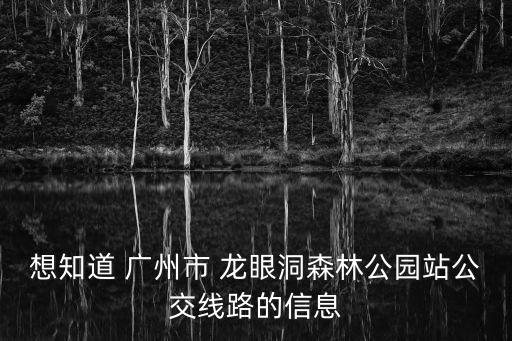想知道 廣州市 龍眼洞森林公園站公交線路的信息