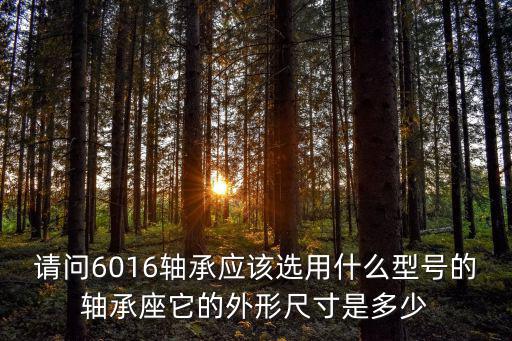 請問6016軸承應該選用什么型號的軸承座它的外形尺寸是多少