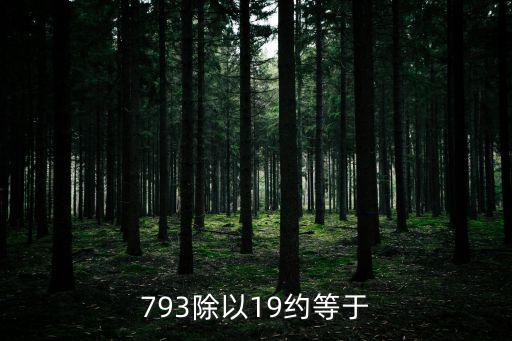 793除以19約等于