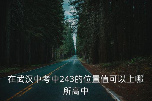 在武漢中考中243的位置值可以上哪所高中