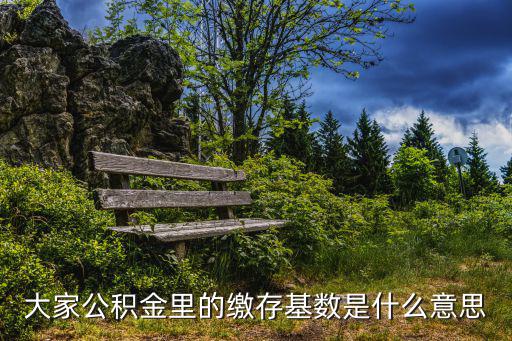 大家公積金里的繳存基數是什么意思