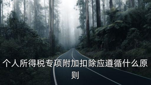 個人所得稅專項附加扣除應遵循什么原則