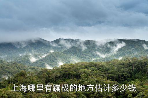 上海哪里有蹦極的地方估計多少錢