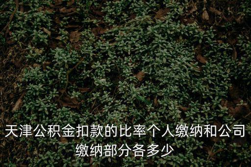 公積金扣款比例，住房公積金是按什么扣的比例多少