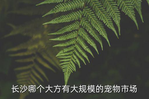 長沙哪個大方有大規(guī)模的寵物市場
