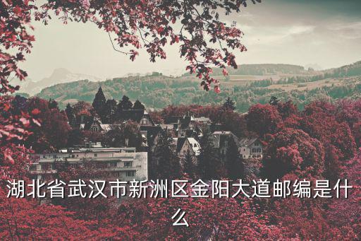 湖北省武漢市新洲區金陽大道郵編是什么
