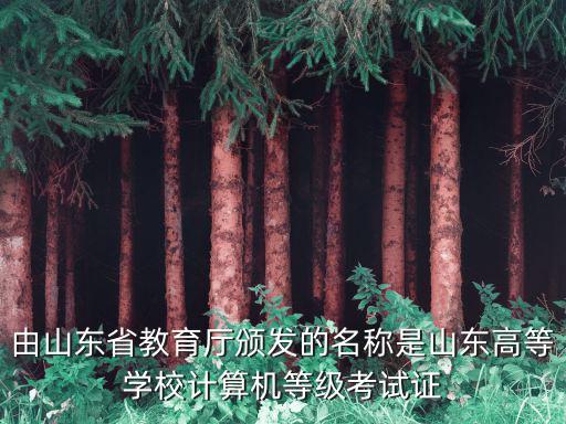 由山東省教育廳頒發的名稱是山東高等學校計算機等級考試證