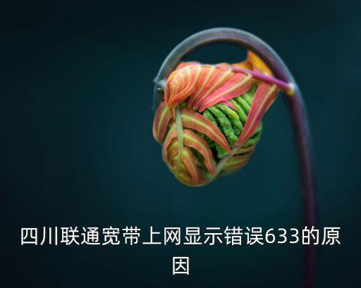 四川聯通寬帶上網顯示錯誤633的原因